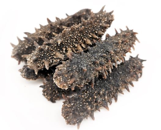 印尼刺參 100頭 150g Dried Indonesian Spiky Sea Cucumber 100 heads 150g