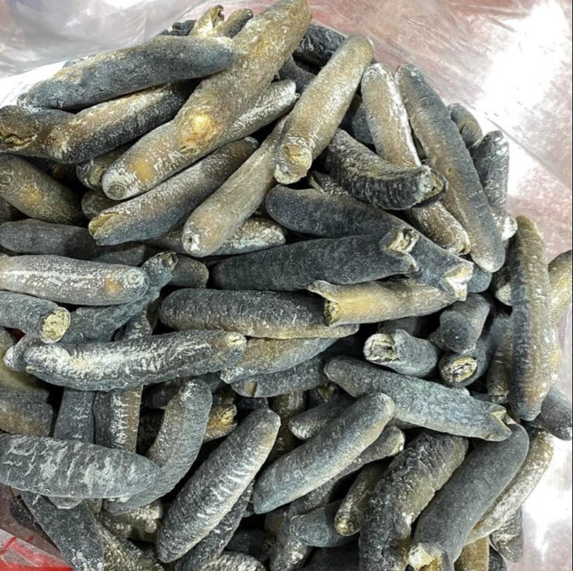 海參 阿丁秃 (40-45頭) (600g) Middle East Sea Cucumber (40 - 45 heads) (600g)